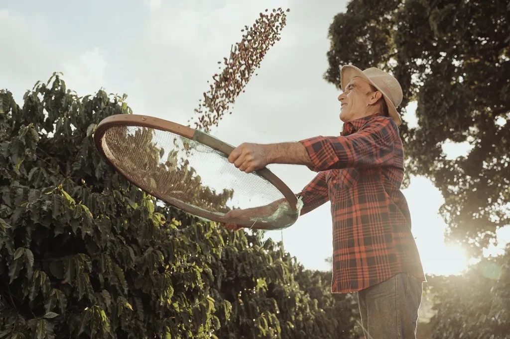 Shared responsibility, lasting change - ECOM Italia